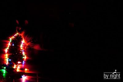 Belle année à vous