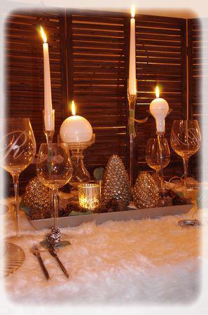 r_veillon_2010_015_modifi__1