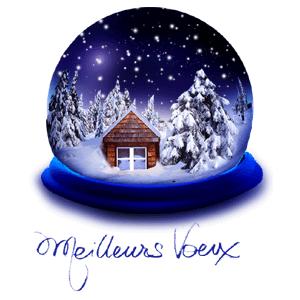 Meilleurs-Voeux.gif