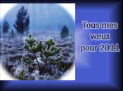 Tous voeux