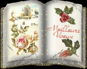 Meilleurs Voeux pour 2011 !!!