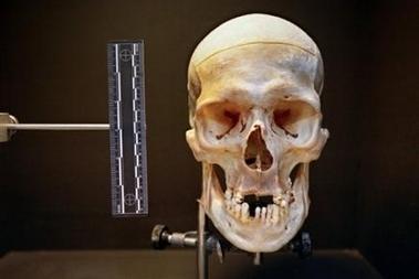 Un crâne humain à vendre sur un marché aux puces à Belgrade