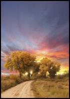 Il est beaucoup question d'émissions de CO2