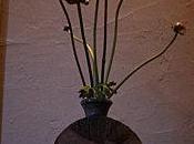 Bilan d'année bonne année 2011