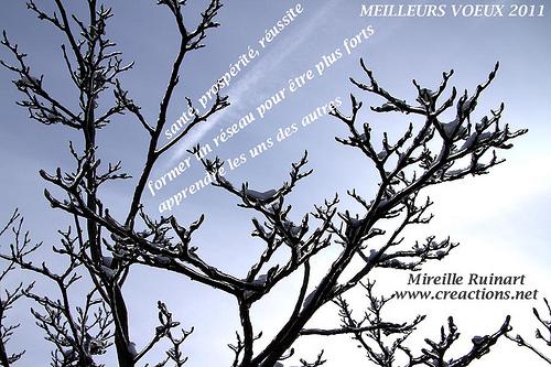 Meilleurs-voeux-2011_mireille_Ruinart_Creactions6