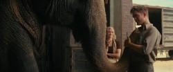 [Hors Twilight] Water For Elephants avec Robert Pattinson
