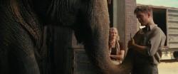 [Hors Twilight] Water For Elephants avec Robert Pattinson