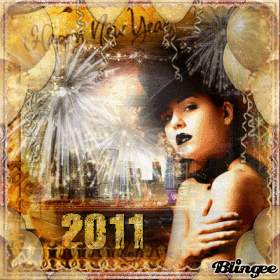 *** Happy New Year 2011 ***