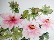 Entrer dans nouvelle année comme nouveau jardin...