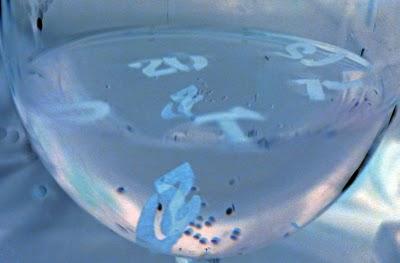 L'année 2011 à flot