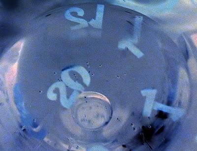 L'année 2011 à flot