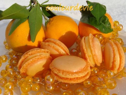Macarons à la clémentine Corse et chocolats fourrés à la clémentine Corse