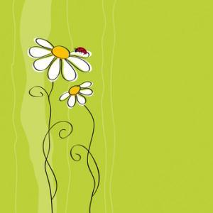 2011 en continuité avec 2010 - résolutions vedacom