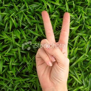 De l'ombre à la lumière