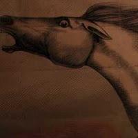 Top albums 2010 (partie 1/2)