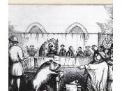 animaux traduits justice