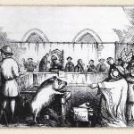 Des animaux traduits en justice