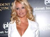Pamela Anderson Choquée agressif