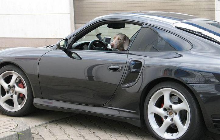 Photo (c) Mike Roberts