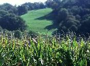 Evaluation environnementale