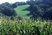 PLU : Evaluation environnementale