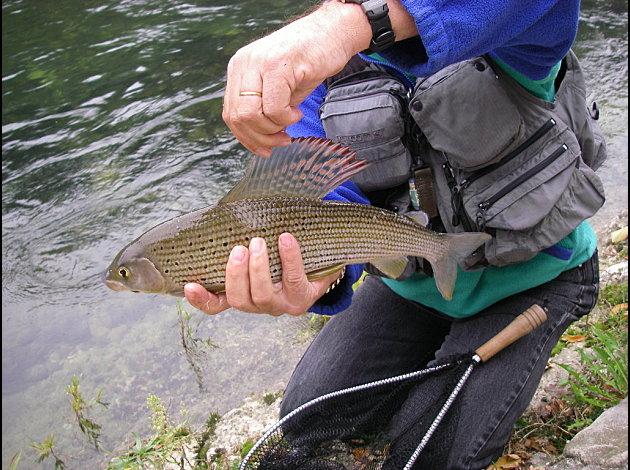 LES PENSÉES DE PASCAL / PASCAL’S PENSÉES