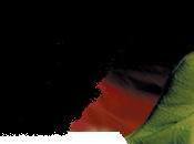 Quizz N°22: Trouvez titre film