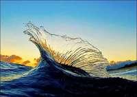 Les vagues d'Hawaii