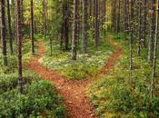 Fromage dessert choisir, c'est renoncer