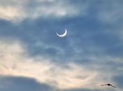 première éclipse solaire 2011