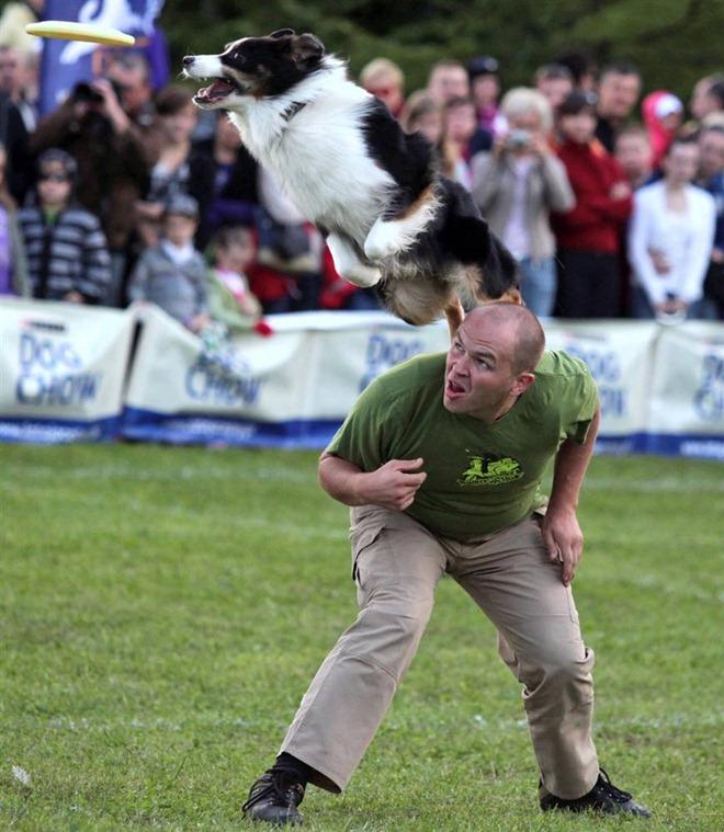 Photos d’animaux 2010