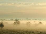"Mgła" (brouillard) film documentaire crash Smolensk
