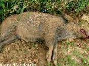 tolérance pratiques cruelles infâmes