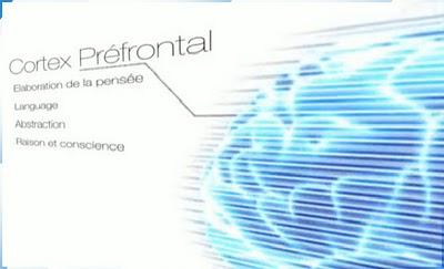 Rachid Assibaiy | The Motion maker