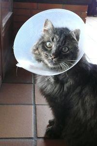 103_PANA-P1030540_P1030540