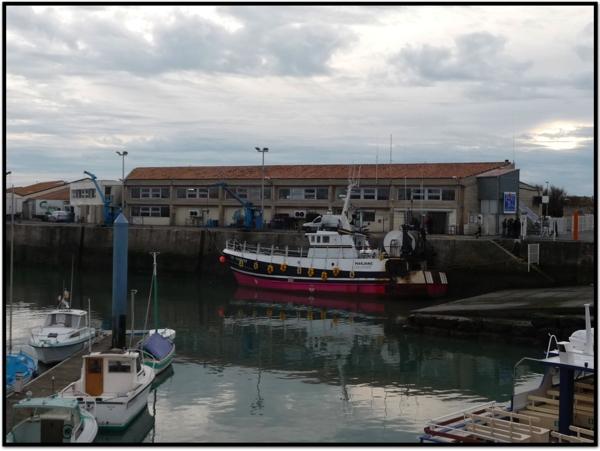 Le port de La Cotinière [1]