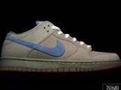 Nike Dunk Iron Automne 2011