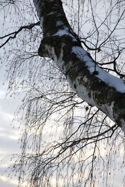 Image Hosted by ImageShack.us