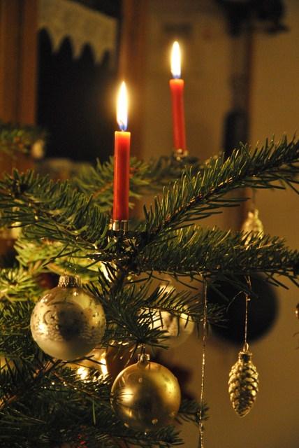 Image Hosted by ImageShack.us