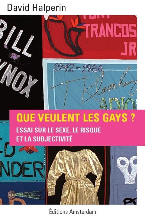 Prise de risques, sexe, pouvoir, différence : Mais que veulent les gays ?