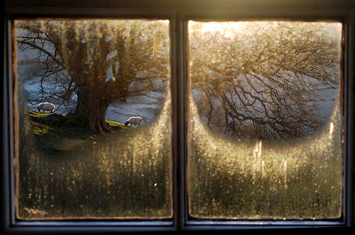 Quitte à m’écarter un peu de mon sujet, je reste avec la...