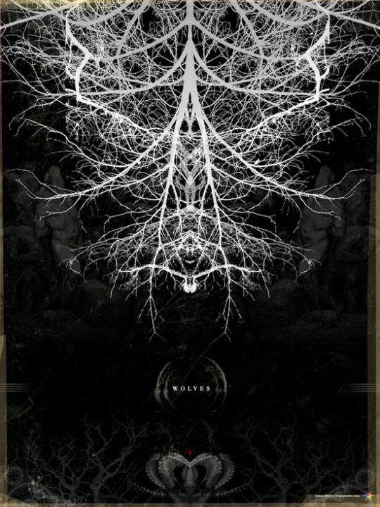 James White 39 540x720 Lumière et couleur selon James White