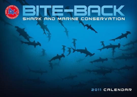 Un calendrier pour la sauvegarde des espèces marines