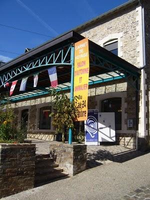 Mes toiles à l'expo de St Yrieix jusqu'au 24 octobre