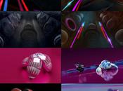 Motion Design Physalia