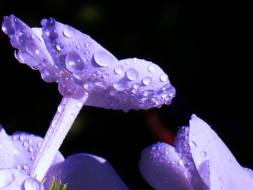 Retouche à la tendresse (Daniel Boulanger)