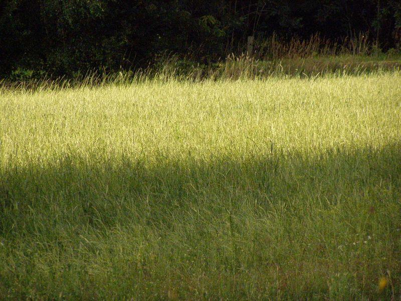 De main en main (Jean-François Mathé)