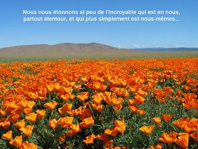 Ton sourire par Philippe Mac Leod