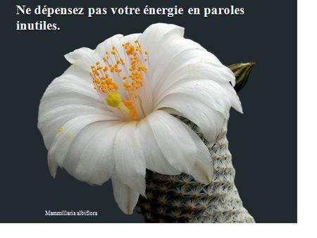 Un partage merveilleux à faire circuler astuces2011__13