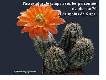 Un partage merveilleux à faire circuler astuces2011__15